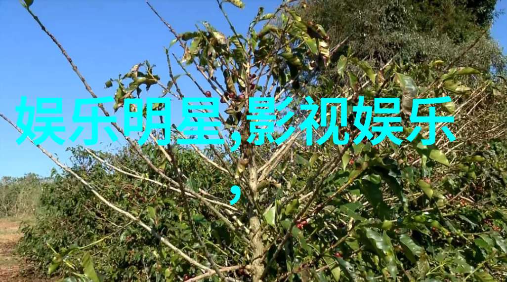 制片人李灏勋亮相亚洲国际电影节