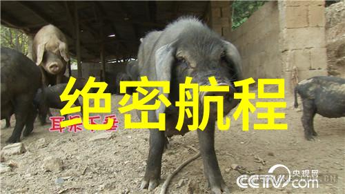 《星际迷航：绝密航程》