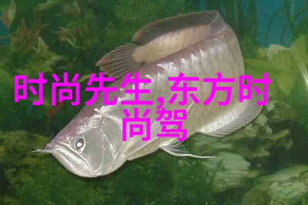十二代Intel核心会改变我们的工作流程吗如果是那么它是如何做到的