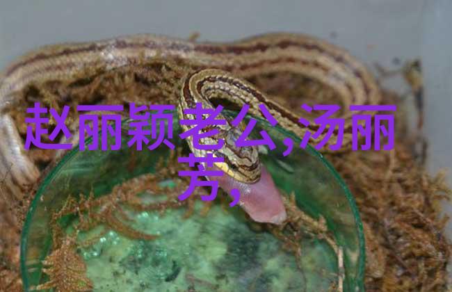 泪影绘境伤感失落的图片与心灵深处的回响