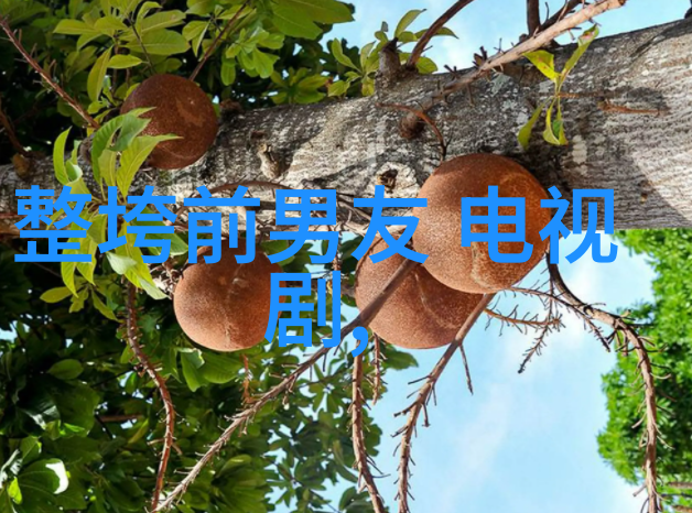 江湖英雄传说水浒大谱的电视改编之旅
