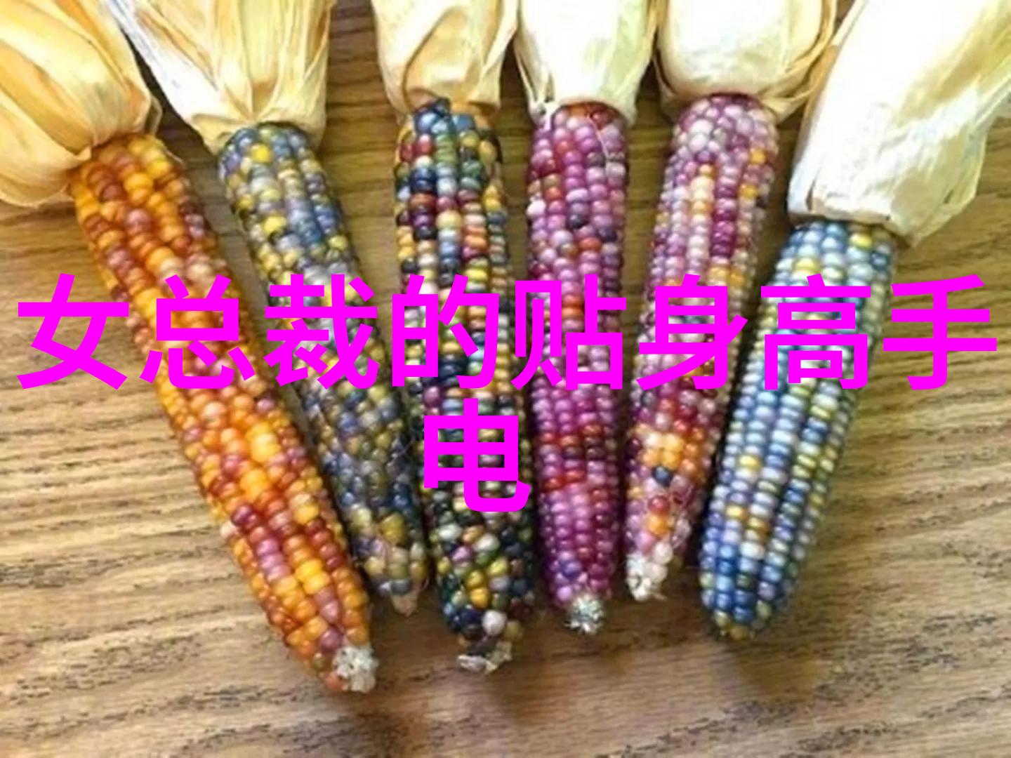 如何通过写真图片捕捉生活中的瞬间美