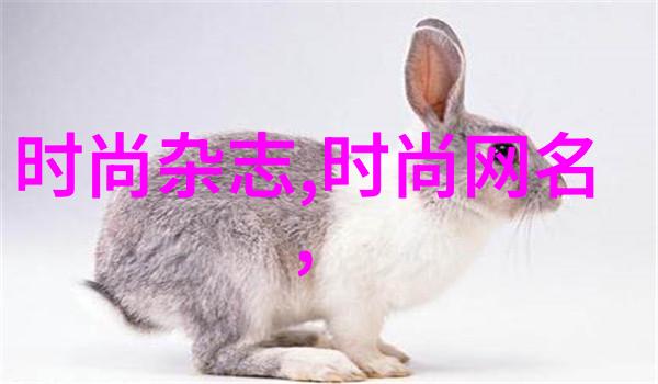 农村网红排行榜前十名我是怎么知道这些乡村美食大咖的