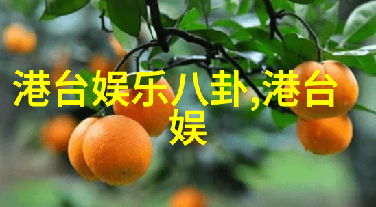 今日娱乐新闻头条-星光闪耀李冰冰与范冰冰携手亮相电影首映