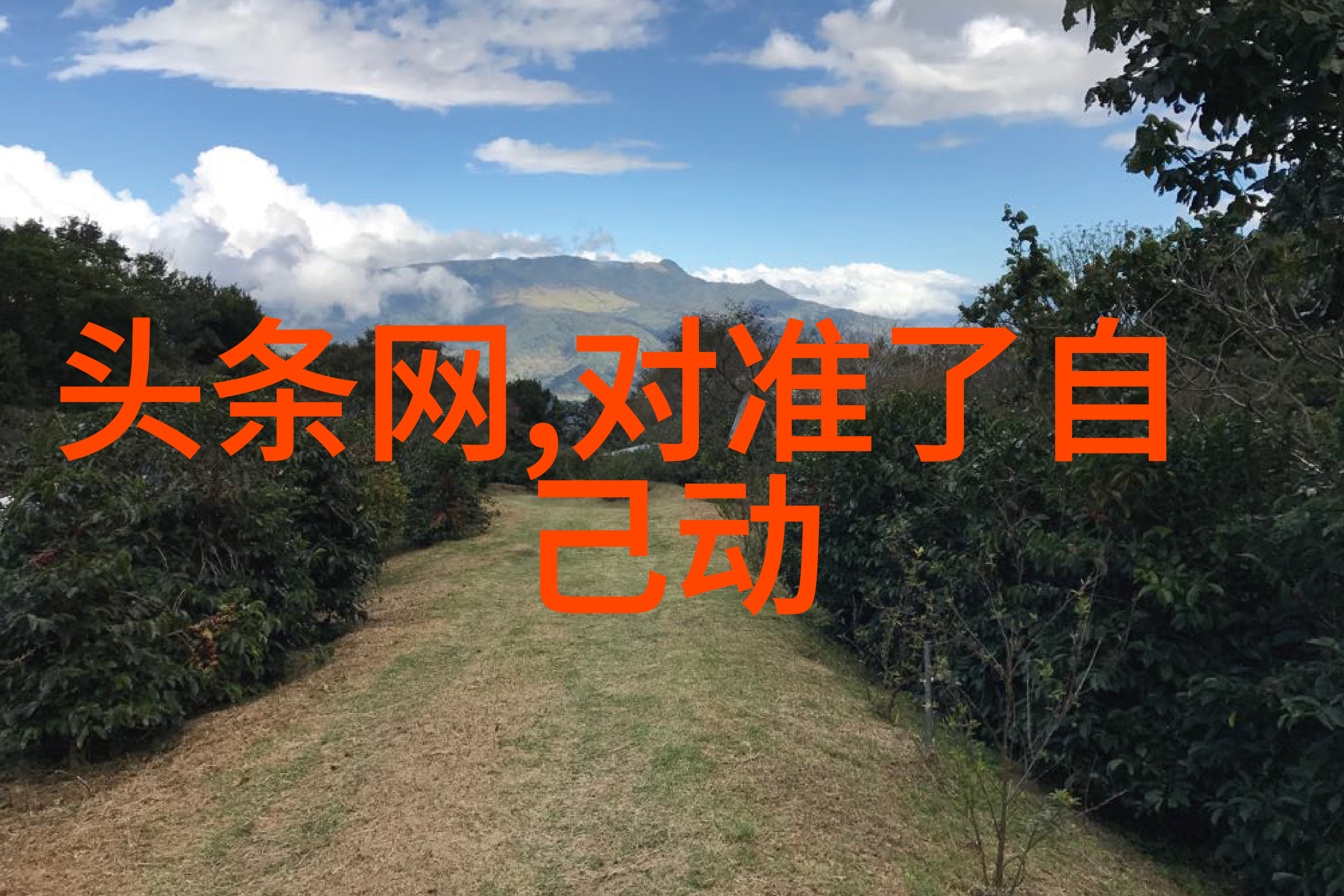 青柠影院免费观看电视剧高清你给我的喜欢收官王子奇感谢观众的爱与支持