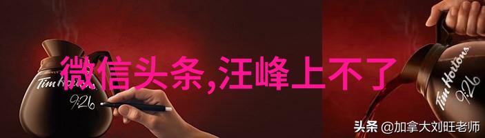 我的莫格利男孩杀青时尚英文短语Dapper Dude Dissects Drama