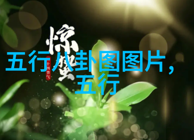 探索地球上的七大洲一个环球旅行的奇遇