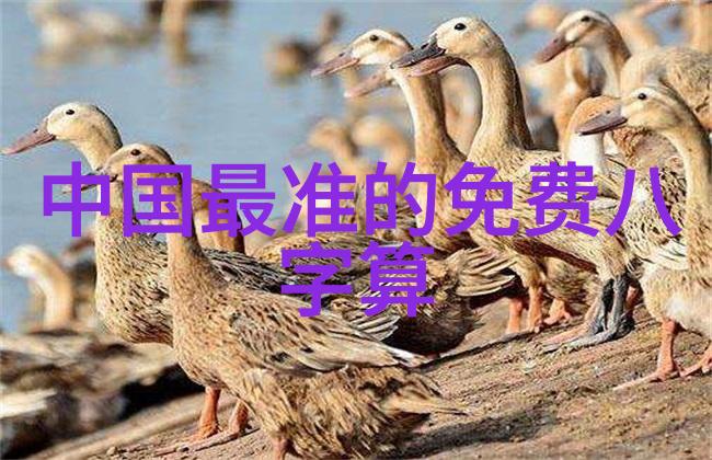 4月17日世界地球日节约资源保护地球