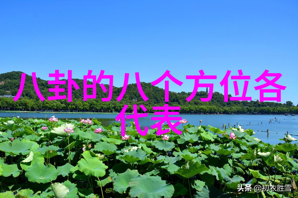 高清写真-捕捉瞬间的细腻与精彩