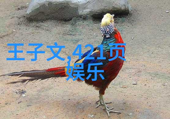 修杰楷的帅气造型掀起时尚风暴背后藏着关于贾静雯封后生活的小秘密