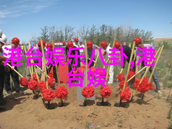 数字探索揭秘图片来源之谜的神奇网站