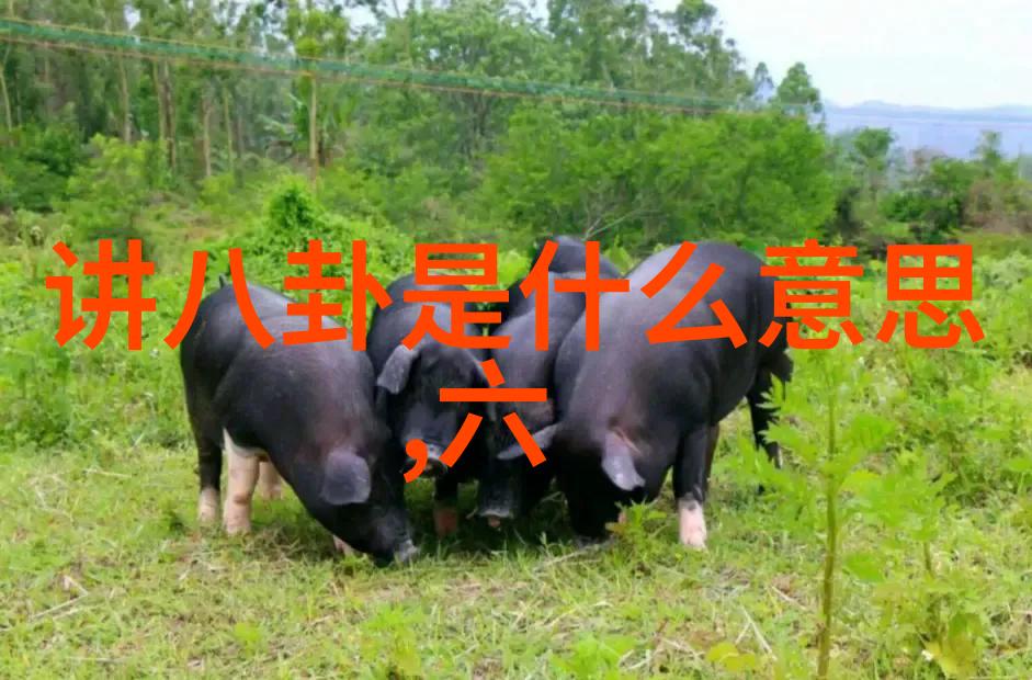 女子跟外公拍写真被造谣老夫少妻 - 外婆的微笑揭开老夫少妻谣言背后的真相