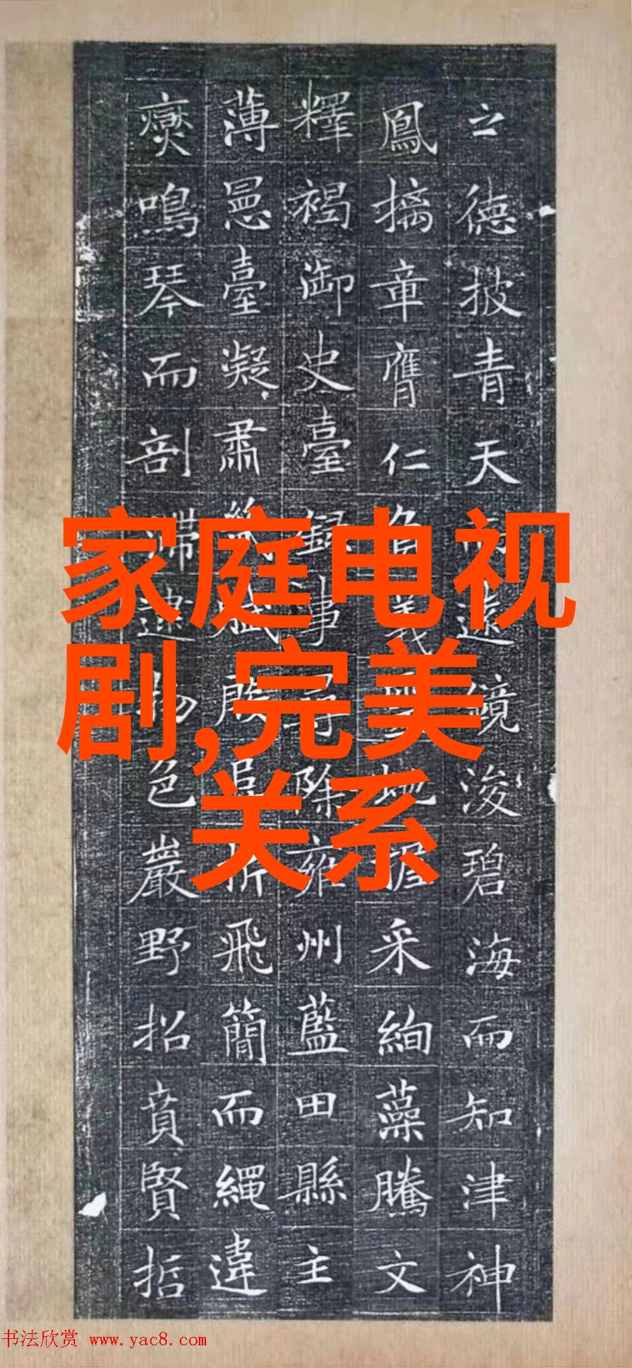 冰冷的殿堂电视剧中的隐秘故事