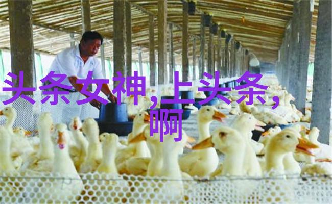 时尚小样矮个子的婚纱照梦想