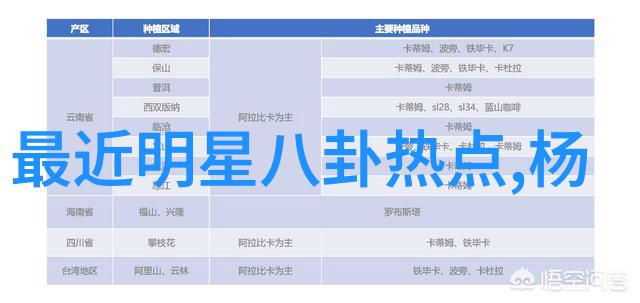 明星网追踪红毯与幕后故事