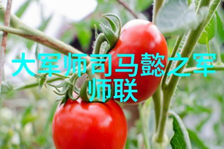重生香港之娱乐后宫 - 逆袭影后重生的娱乐帝国