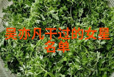 兄弟网名如同五位行走江湖的豪杰各具匠心好酷的名字在网络世界中自由翱翔