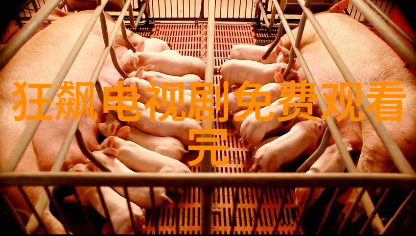 我的蠢萌老公星落凝成糖收官温暖情感深受欢迎