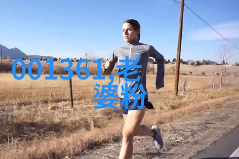 大师级辩论观赏小镇大法官的法律秀场