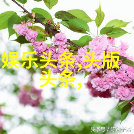 大胆写真我是如何一次次鼓起勇气拍出精彩照片的