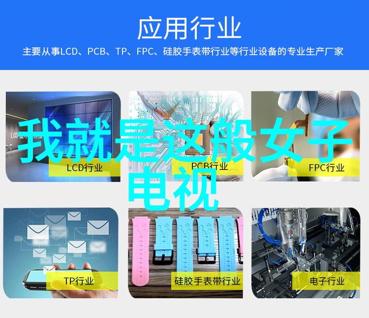 极限挑战 综艺-逆境中的团结极限挑战者们的不屈斗志