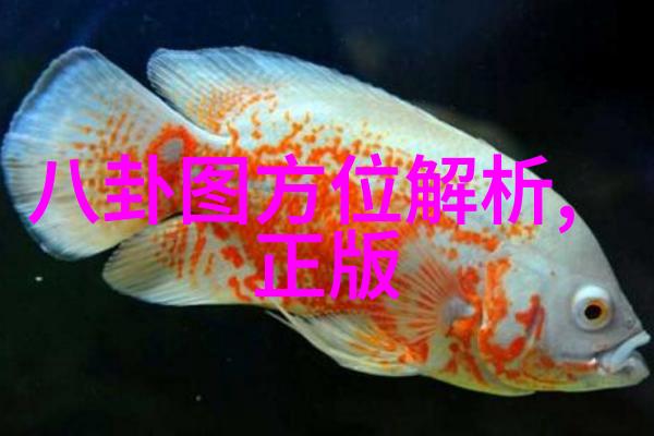 六十四卦背诵口诀读音-易经秘籍记忆口诀的艺术