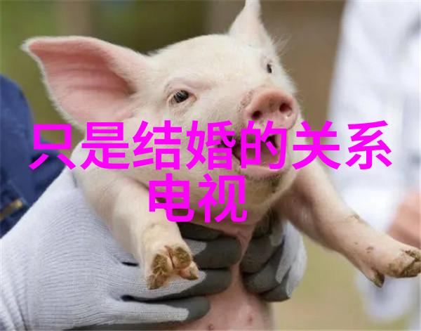 汤唯带女儿在自然景观中享受披萨时主动摆出V字形受到赞扬其高情商此外俄罗斯在面对困难时寻求中国的帮助却