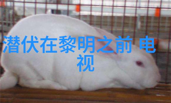 敢死队4免费观看完整版的秘密武器