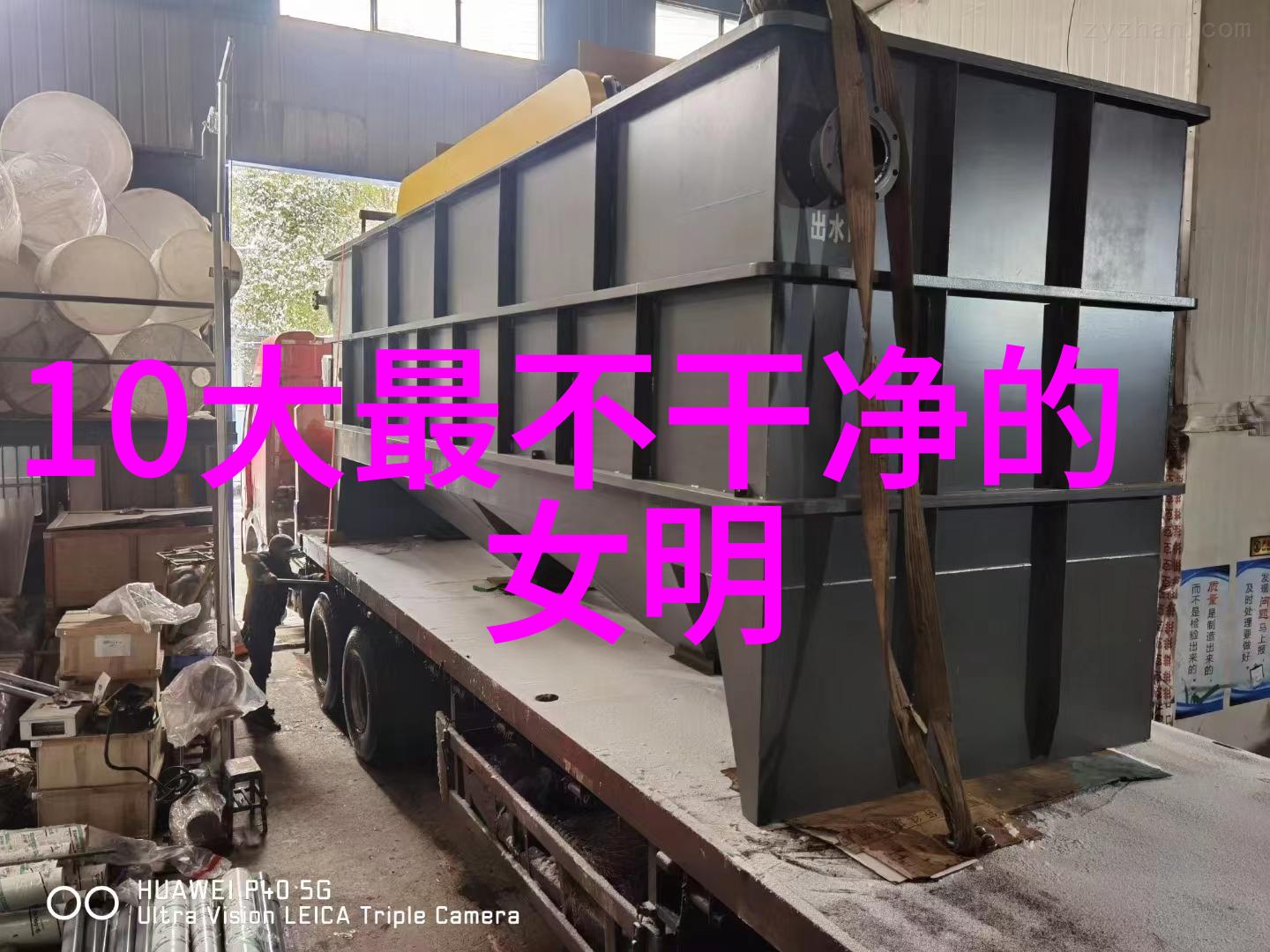 亥兔未土等四大吉祥动物在易经中占据何种地位以及它们各自代表的是什么概念或元素