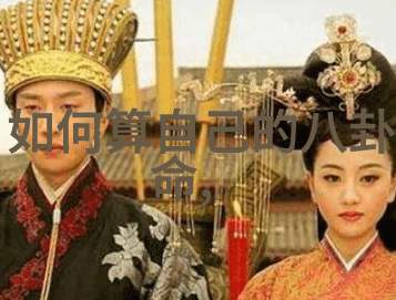 如何提高自己从好的画像素材网站中找到精美照片的效率呢