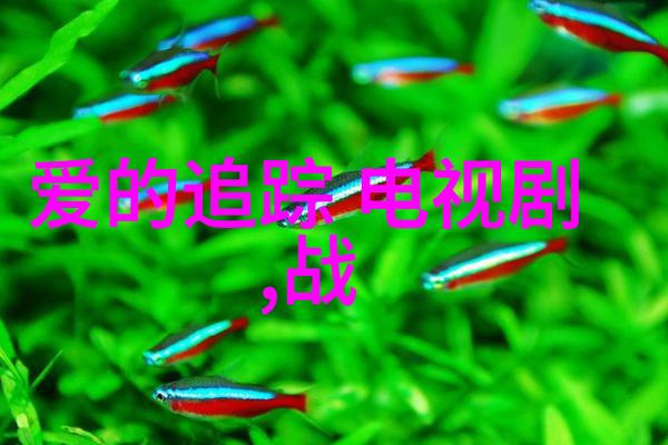 最新电影光影纠缠揭秘今年最火的视觉盛宴