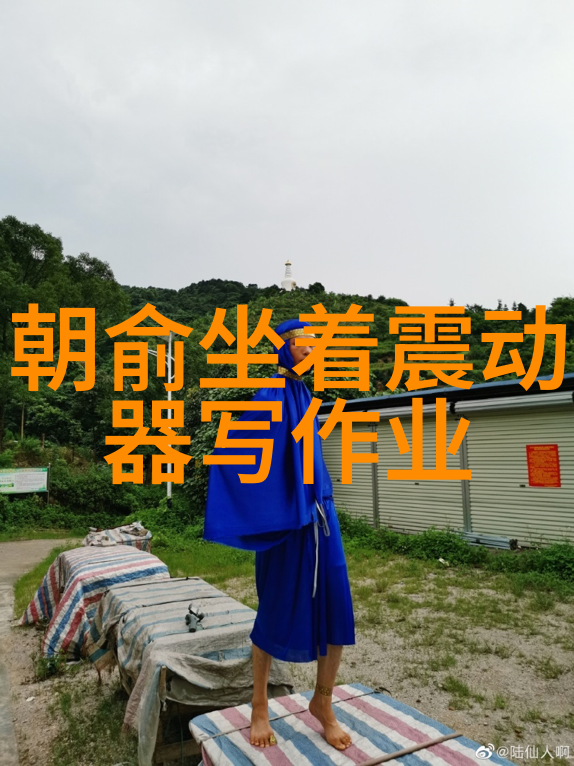 银屏上的情缘雪梨王思聪心中的女神