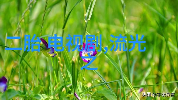 镜中花影女士写真的诗意变奏