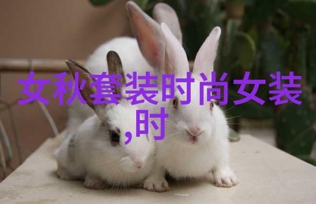 高圆圆为什么被叫做炮台你知道吗她是怎么得了炮台称号的