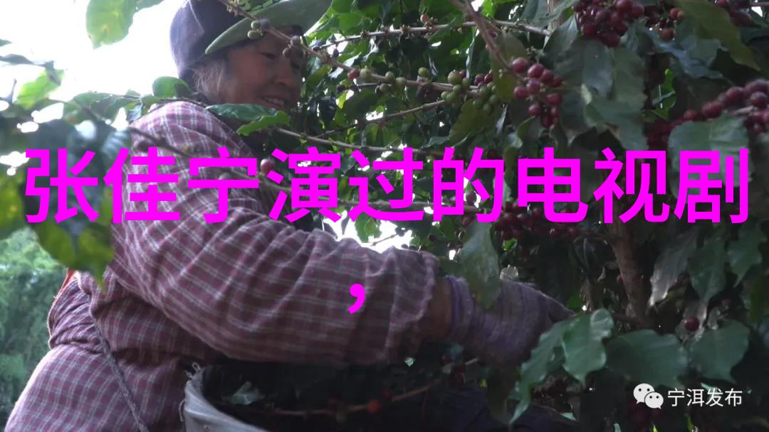 山东环豪车业睿辰电动车与杨大六达成代言协议顺利签约同时发布微信头像图片风景以数据为导向的形象传播策略