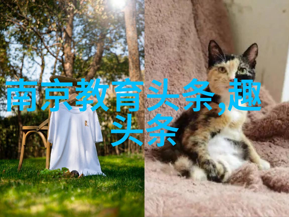 xiao7最新地址解密生活方式的新篇章