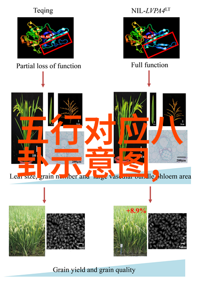 今日头条极速版下载免费安装快速阅读的智能新闻应用