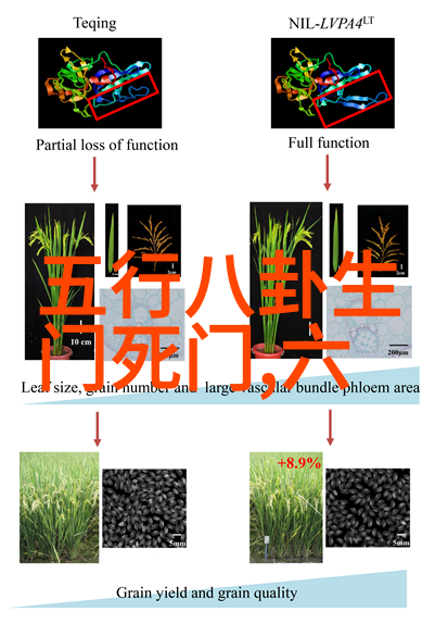 解读阿甘正传的政治与伦理寓意