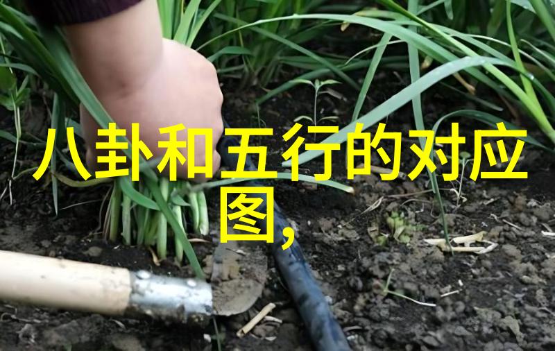各种类型的大陆例如板块岛屿等有何共同点与区别