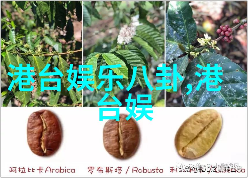澳方称飞机发现多种漂浮物 颜色与MH370相似