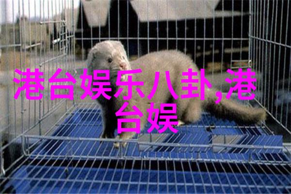 杨幂写真中的服装风格设计灵感是什么