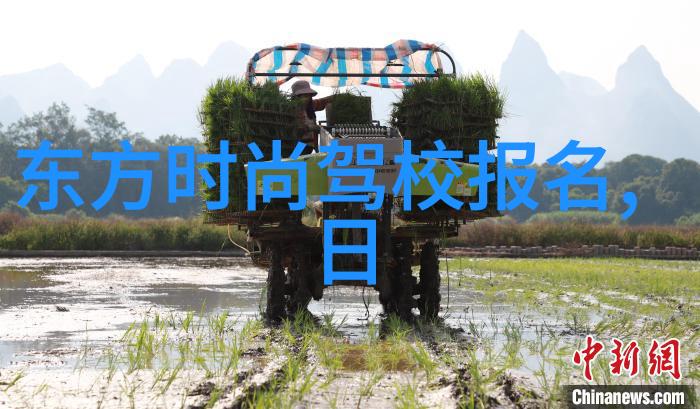 洛阳风起终极OSS之谜揭秘东川王原型的儿子解析阳宅八卦方位图解