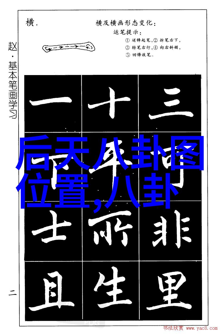 绽放生活之花一场温馨的视觉盛宴