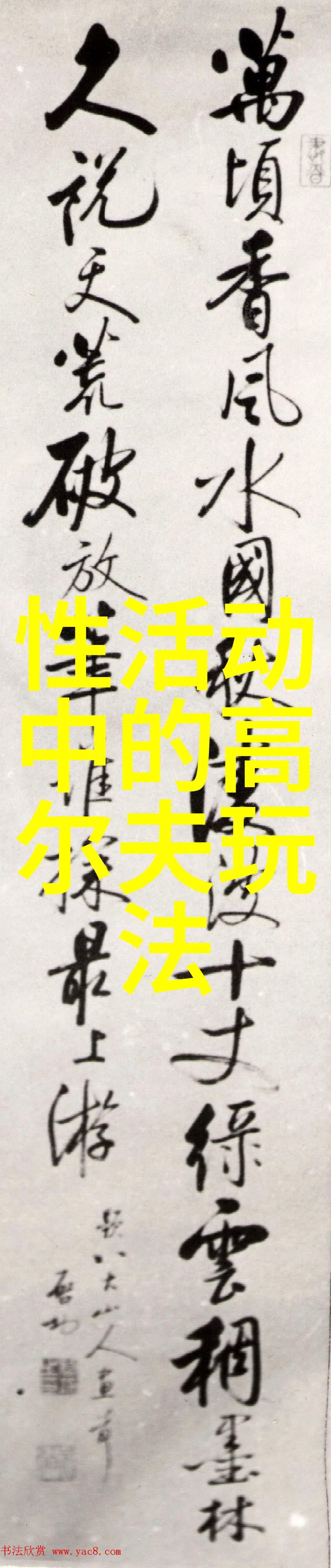 偶像来了 综艺轻松愉快的互动环节