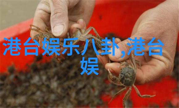高圆圆从女神到美少女再到智慧老虎写真全能