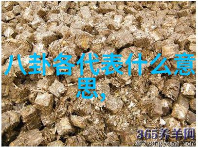 新春佳音一月二十六日的和谐共鸣