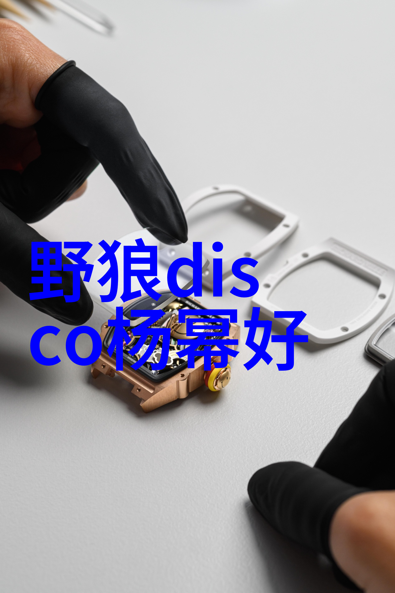 综艺玩很大我的娱乐圈体验记录
