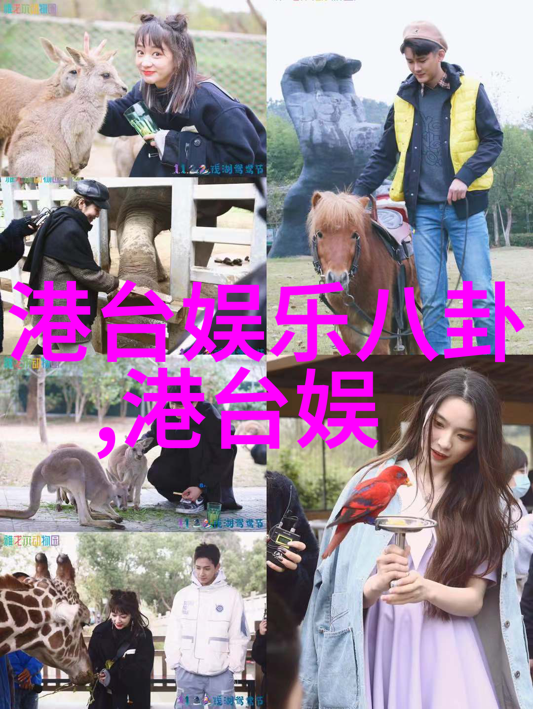 长期以来人们为什么仍然对寻找精确而不需要付费就能得到结果的自由意志感到好奇和怀疑