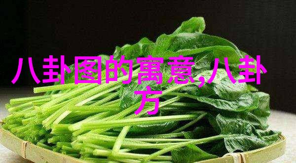 八卦文化的起源与流行了解八卦背后的历史和现代社会中的传播
