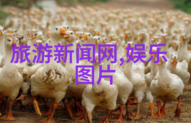 国家敢动娱乐圈吗 - 政策引导文化正风行业自律新趋势